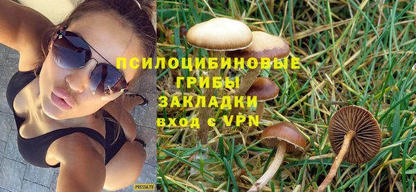 винт Зуевка