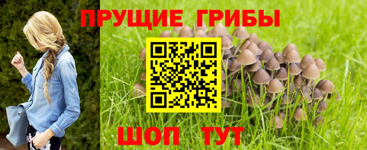 Обнинск  Псилоцибиновые грибы прущие грибы  Вход с VPN 