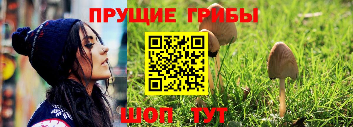 Гашиш Обнинск