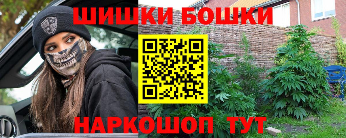 Бошки Шишки планчик Обнинск